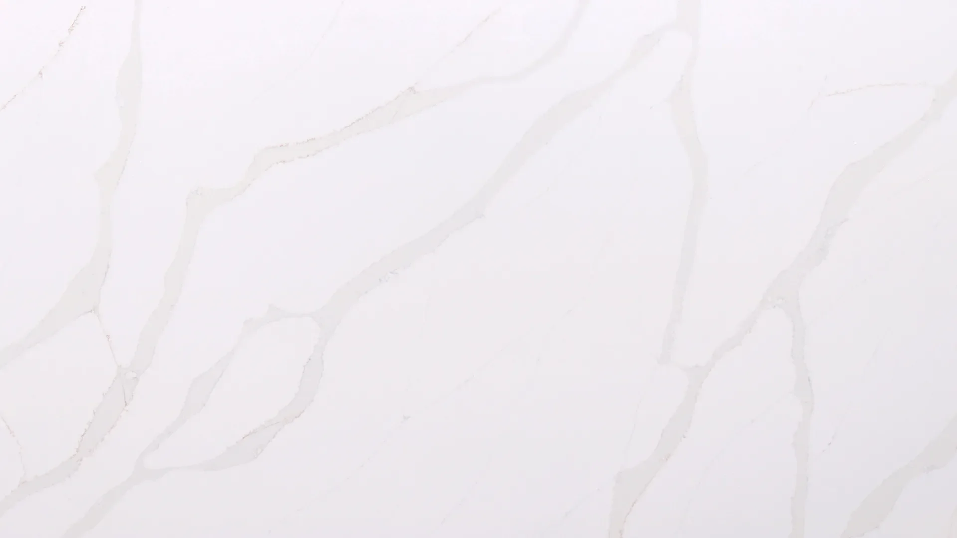 Calacatta Gold — Purastone